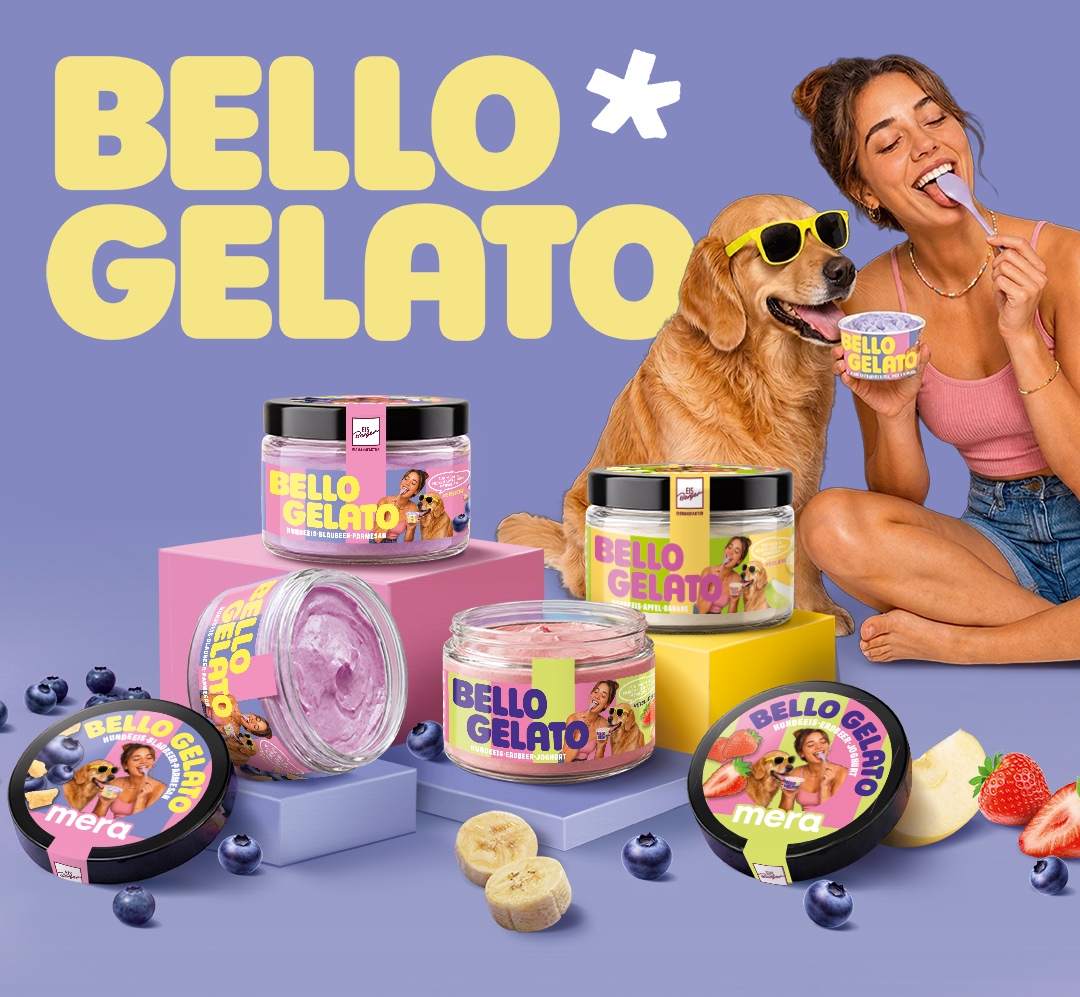 Bello Gelato Keyvisual: Hund und Mensch teilen ein Eis